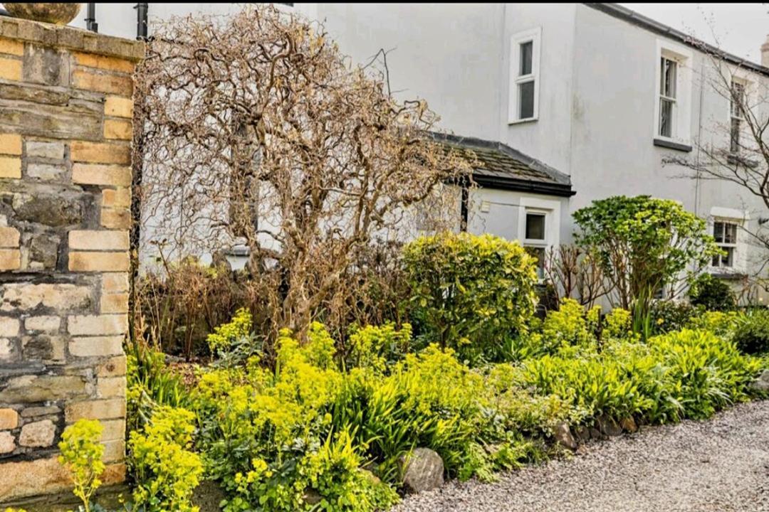 The Mews - Less Than 1Km To City Centre - Stadium - Castle - 10 Min Walk Cardiff Exteriér fotografie